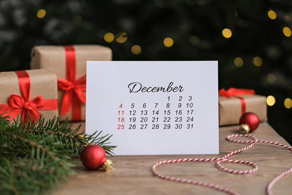 dogodki koledar praznični btc city december